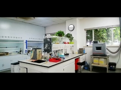 Nscr 3-Way Catalyst Metal Substrate Carrier 200 CPSI For Petrol Car Automotive